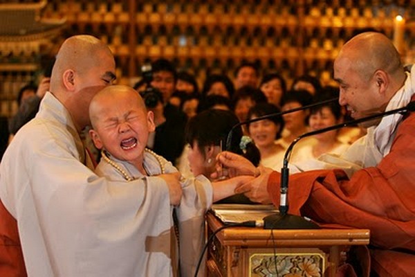 Chùm ảnh: Những chú tiểu Hàn Quốc ngộ nghĩnh dễ thương