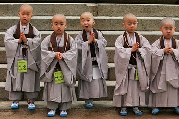 Chùm ảnh: Những chú tiểu Hàn Quốc ngộ nghĩnh dễ thương