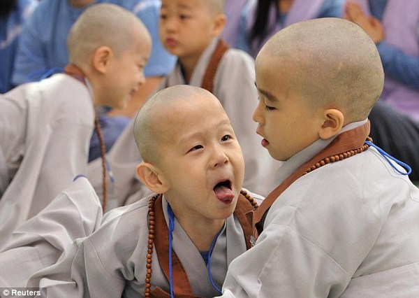 Chùm ảnh: Những chú tiểu Hàn Quốc ngộ nghĩnh dễ thương