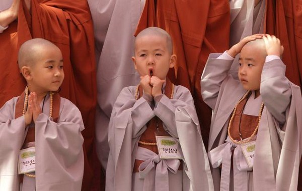 Chùm ảnh: Những chú tiểu Hàn Quốc ngộ nghĩnh dễ thương