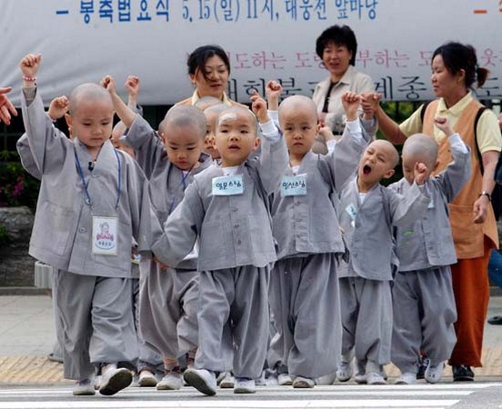 Chùm ảnh: Những chú tiểu Hàn Quốc ngộ nghĩnh dễ thương