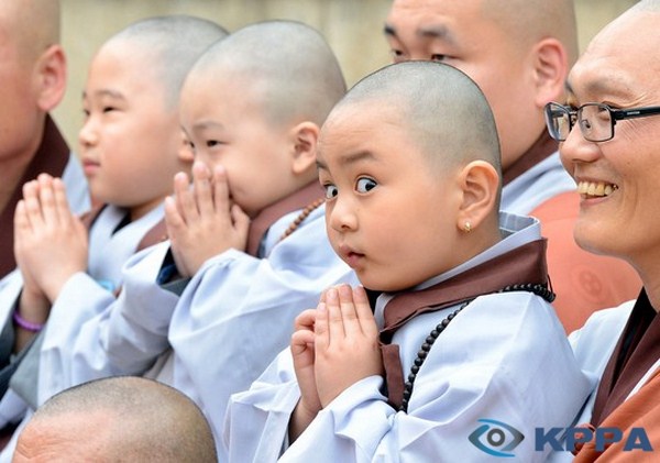 Chùm ảnh: Những chú tiểu Hàn Quốc ngộ nghĩnh dễ thương