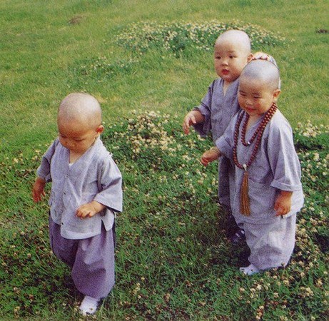 Chùm ảnh: Những chú tiểu Hàn Quốc ngộ nghĩnh dễ thương