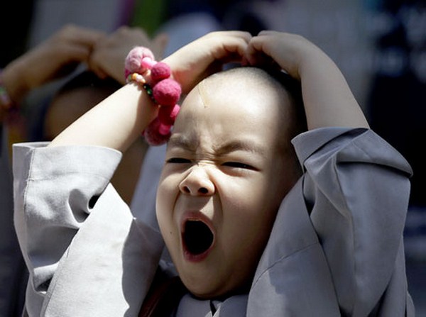 Chùm ảnh: Những chú tiểu Hàn Quốc ngộ nghĩnh dễ thương
