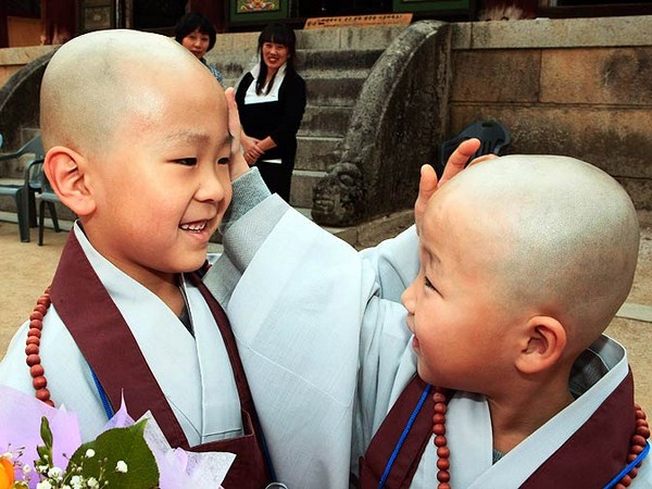 Chùm ảnh: Những chú tiểu Hàn Quốc ngộ nghĩnh dễ thương