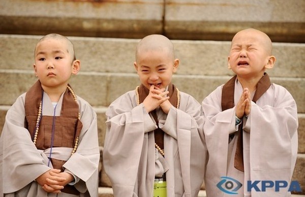 Chùm ảnh: Những chú tiểu Hàn Quốc ngộ nghĩnh dễ thương
