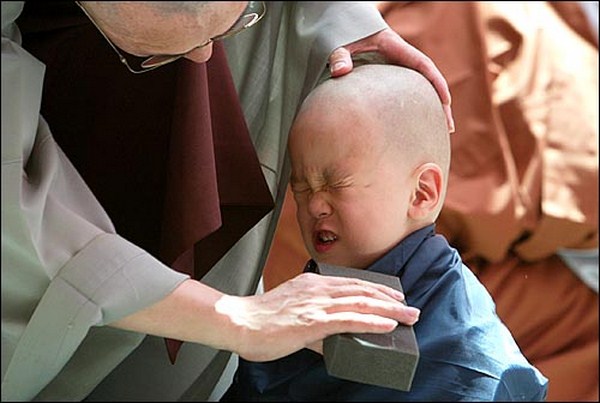 Chùm ảnh: Những chú tiểu Hàn Quốc ngộ nghĩnh dễ thương