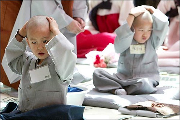 Chùm ảnh: Những chú tiểu Hàn Quốc ngộ nghĩnh dễ thương