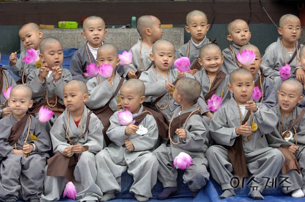 Chùm ảnh: Những chú tiểu Hàn Quốc ngộ nghĩnh dễ thương