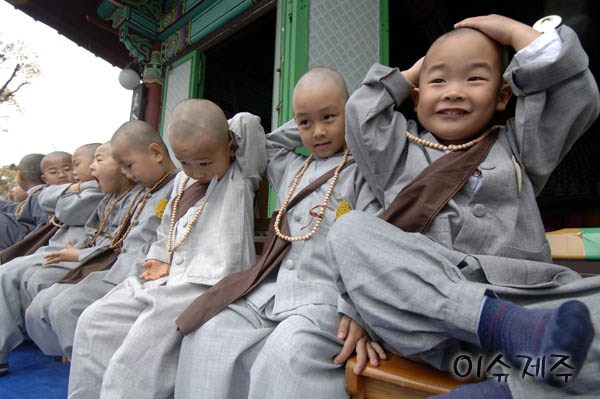 Chùm ảnh: Những chú tiểu Hàn Quốc ngộ nghĩnh dễ thương