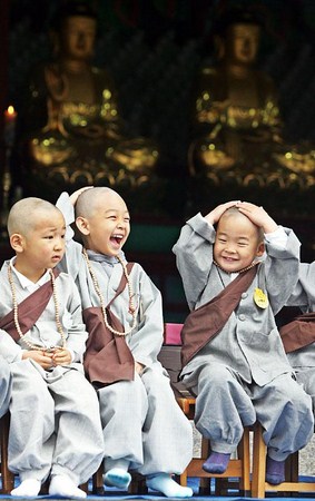 Chùm ảnh: Những chú tiểu Hàn Quốc ngộ nghĩnh dễ thương