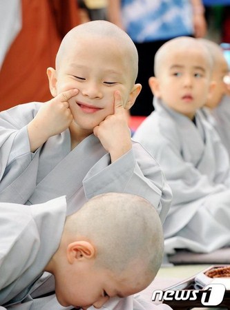 Chùm ảnh: Những chú tiểu Hàn Quốc ngộ nghĩnh dễ thương