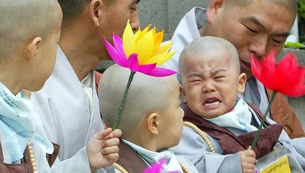 Chùm ảnh: Những chú tiểu Hàn Quốc ngộ nghĩnh dễ thương