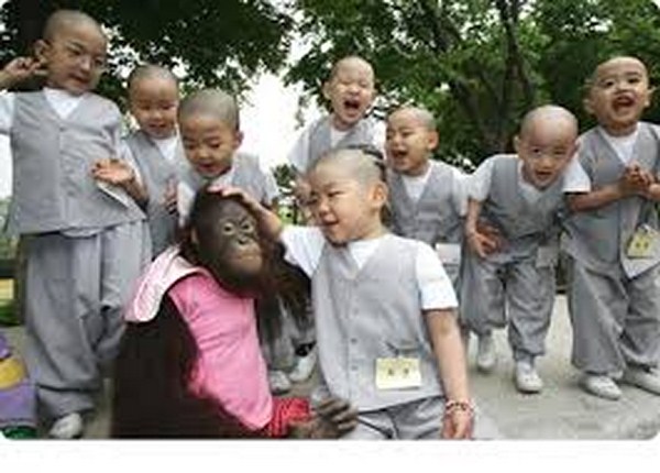 Chùm ảnh: Những chú tiểu Hàn Quốc ngộ nghĩnh dễ thương