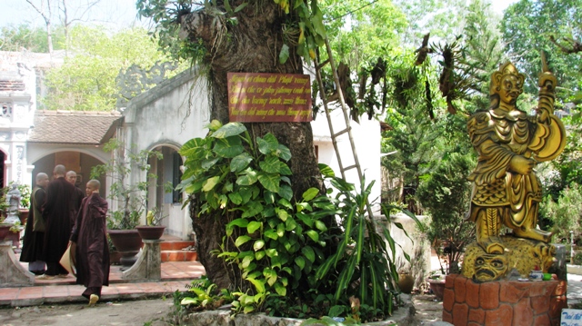 Khánh Hòa: 43 Ni sinh lớp sử Phật giáo Trường TCPH đi thực tế tìm hiểu lịch sử