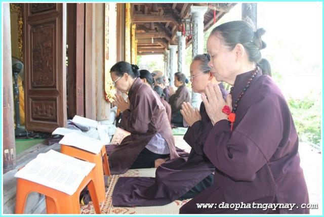 Hà Nội: Phóng Sự Ảnh: Nét Đẹp Mùa An Cư Tại Hà Trường Bồ Đề
