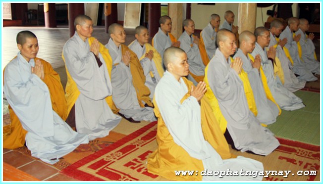 Hà Nội: Tác bạch hậu An Cư Kiết Hạ PL: 2558 - DL: 2014