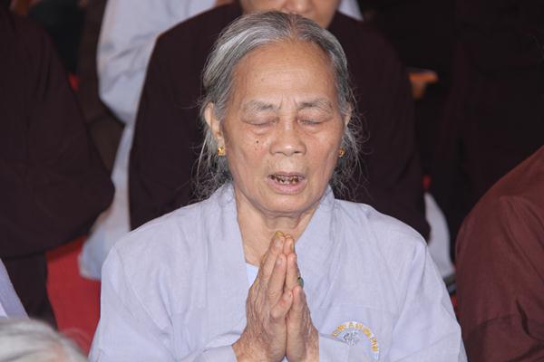 Thái Nguyên: Sơ Nhập Hành Đạo Hạ Trường Chùa Phù Liễn
