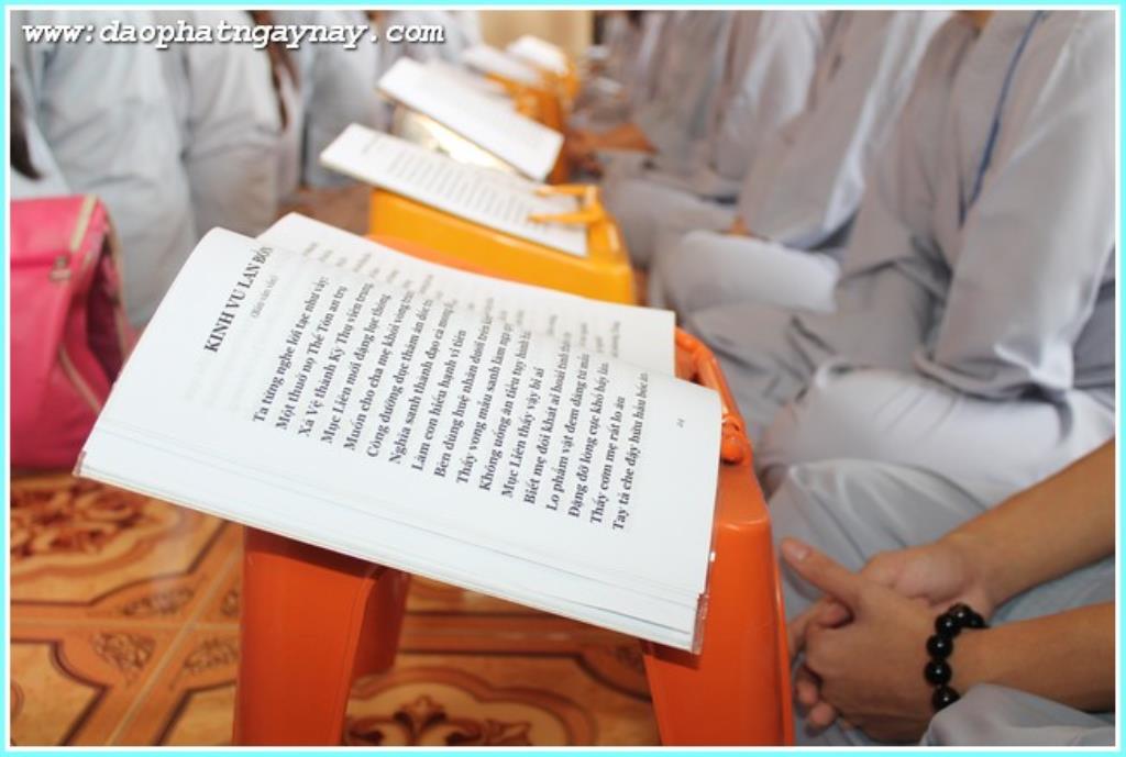 TP.Hồ Chí Minh: Gieo Hạt Từ Tâm - Kì 28  Chủ đề: Bông Hồng Cài Áo