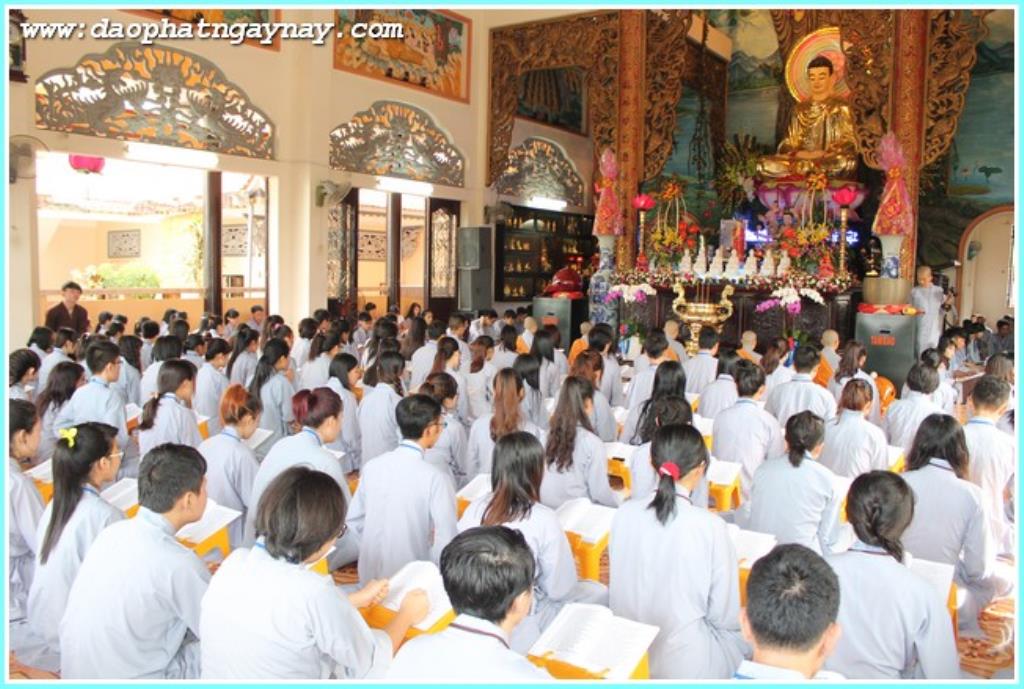 TP.Hồ Chí Minh: Gieo Hạt Từ Tâm - Kì 28  Chủ đề: Bông Hồng Cài Áo