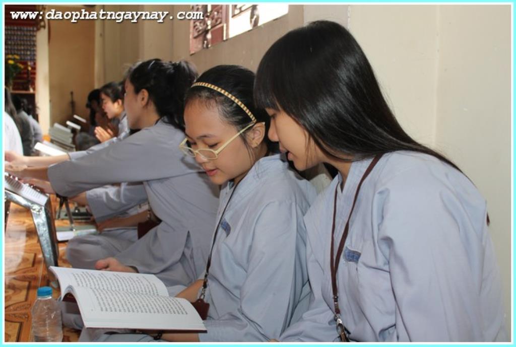 TP.Hồ Chí Minh: Gieo Hạt Từ Tâm - Kì 28  Chủ đề: Bông Hồng Cài Áo