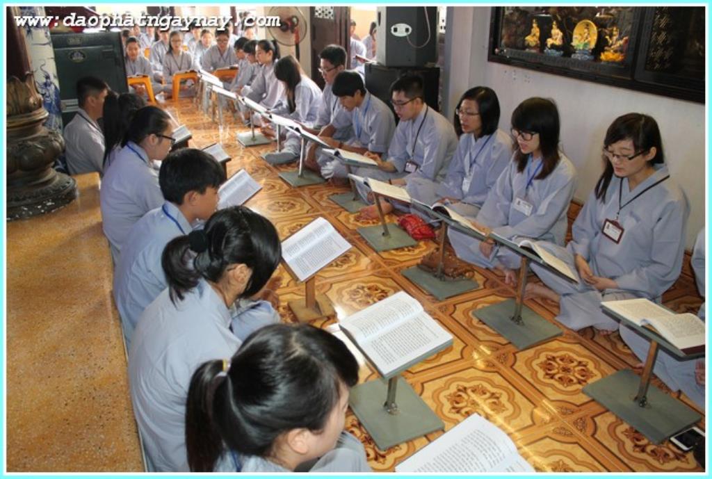 TP.Hồ Chí Minh: Gieo Hạt Từ Tâm - Kì 28  Chủ đề: Bông Hồng Cài Áo