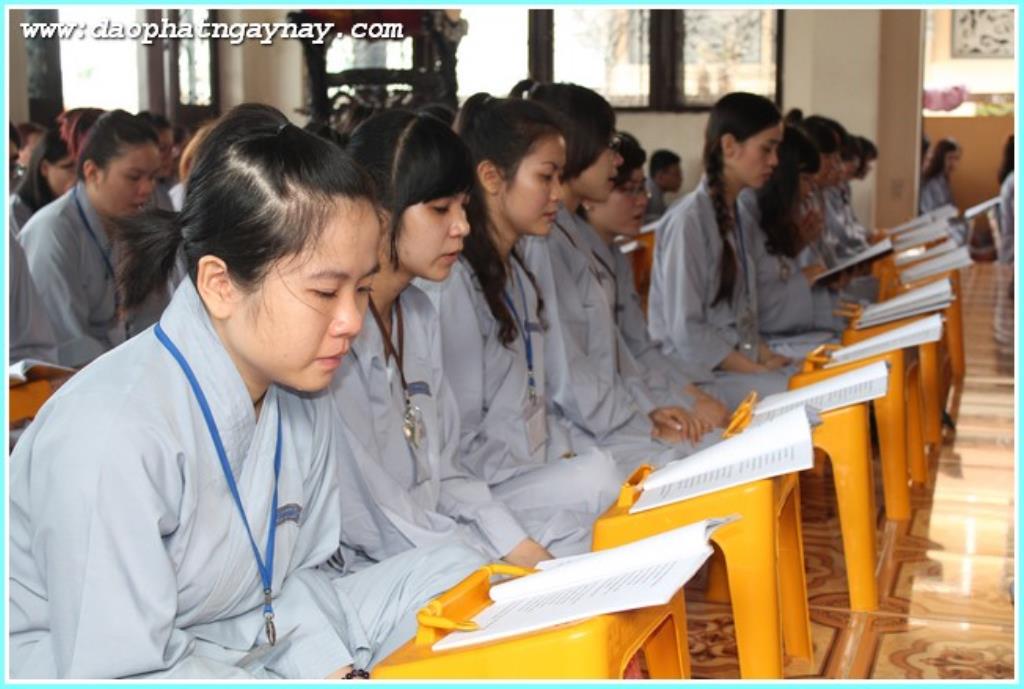 TP.Hồ Chí Minh: Gieo Hạt Từ Tâm - Kì 28  Chủ đề: Bông Hồng Cài Áo