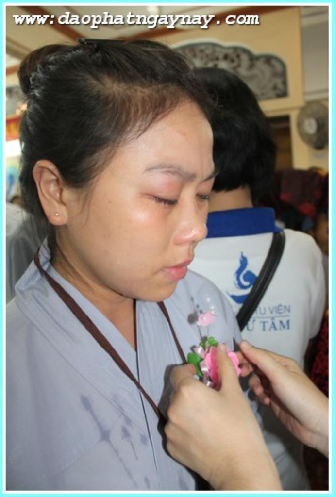 TP.Hồ Chí Minh: Gieo Hạt Từ Tâm - Kì 28  Chủ đề: Bông Hồng Cài Áo