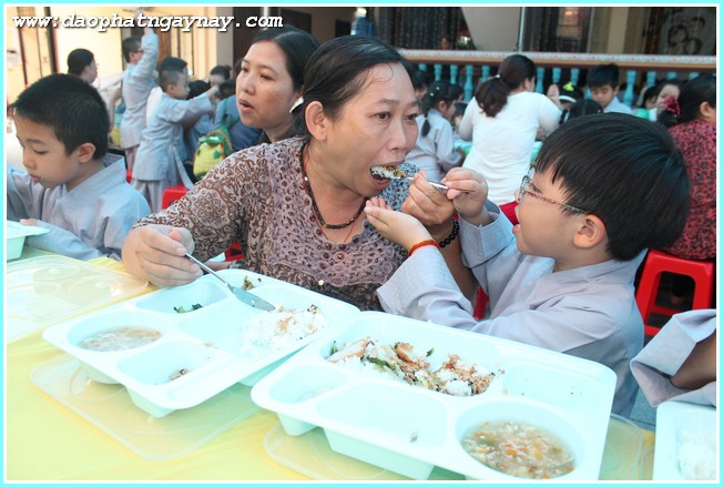 TP. HCM: Khóa tu Gieo Hạt Từ Tâm 29: Con Yêu Ba Mẹ