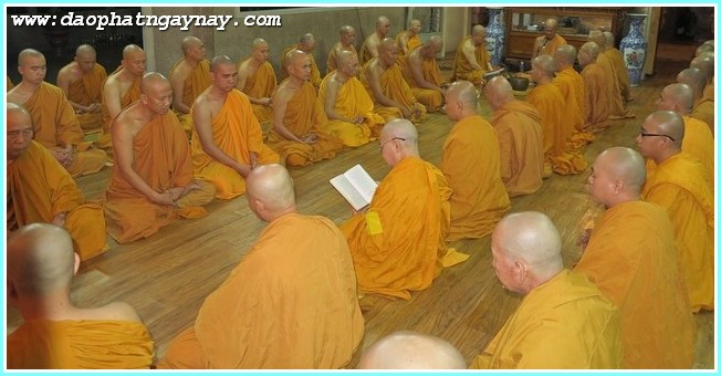 TP.Hồ Chí Minh: Phóng sự ảnh: Nét Đẹp Mùa An Cư - PL: 2558