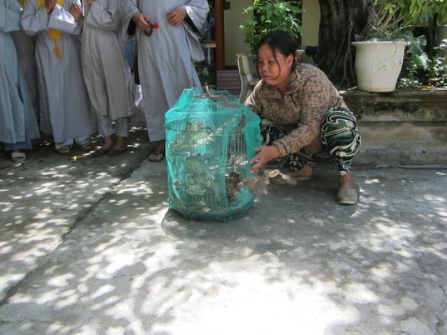 Tổ đình Thiên Bửu tổ chức Khóa tu Bát quan trai lần 6 năm 2014