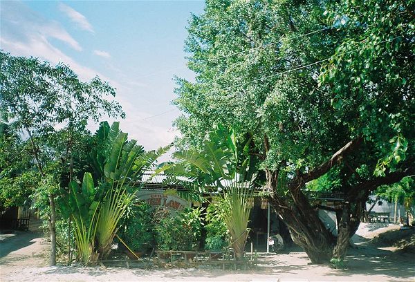 Thăm Chùa Thiên Long thành phố mới Cam Ranh
