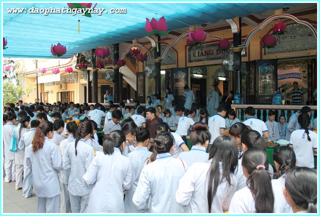 TP. HCM: Khóa tu Gieo Hạt Từ Tâm 30 - Cho và Nhận