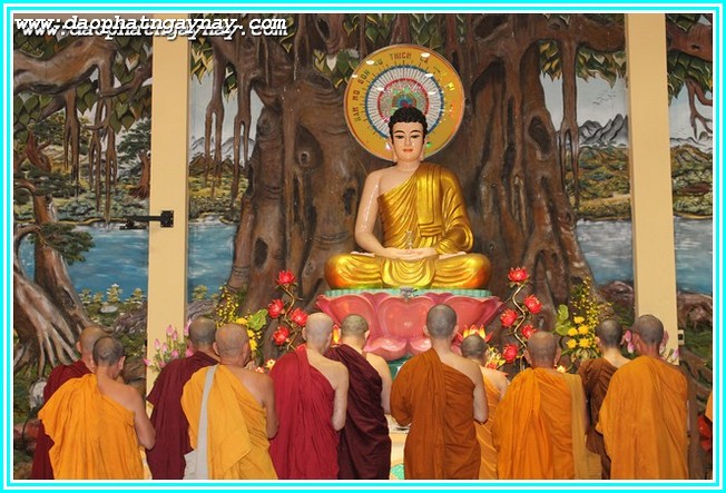 Đồng Nai:  Khóa Thiền Mùa Đông 2014