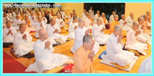Đồng Nai:  Khóa Thiền Mùa Đông 2014