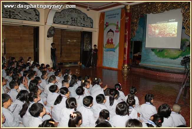 Khóa tu Gieo Hạt Từ Tâm 33: A Di Đà Phật