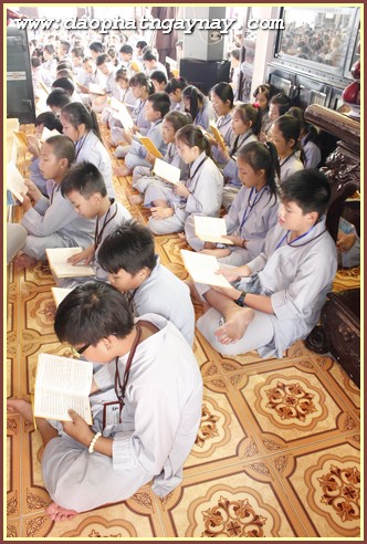 Khóa tu Gieo Hạt Từ Tâm 33: A Di Đà Phật