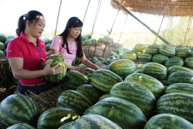 Thanh Hóa: Về Kyaiktiyo tận mắt chiêm ngưỡng tảng đá thiêng Golden Rock