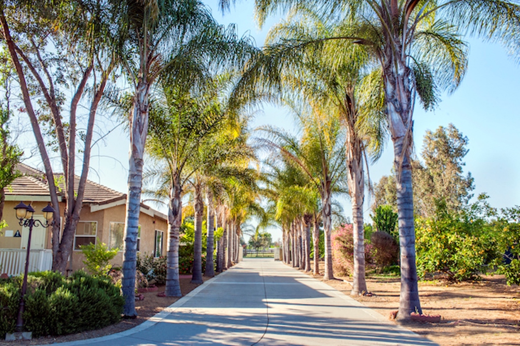 Thiền viện Vô Ưu, California, Hoa Kỳ -  điểm đến đầu năm 2015 của hai nhà thư pháp  Thích Giác Thiện, Thích Nhuận Pháp.