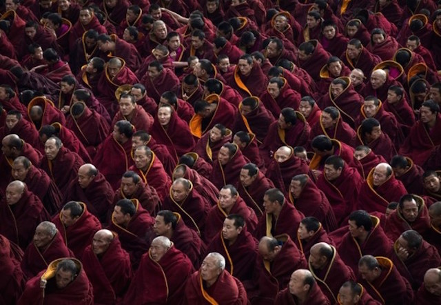 Chùm ảnh Lễ hội tổ Monlam Phật giáo Tây Tạng 2015