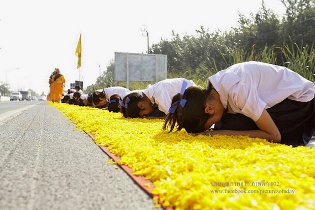Chùm ảnh: Hàng vạn vị Tăng sĩ hạnh Đầu đà cuộc hành hương giữa lòng Bangkok, Thái Lan