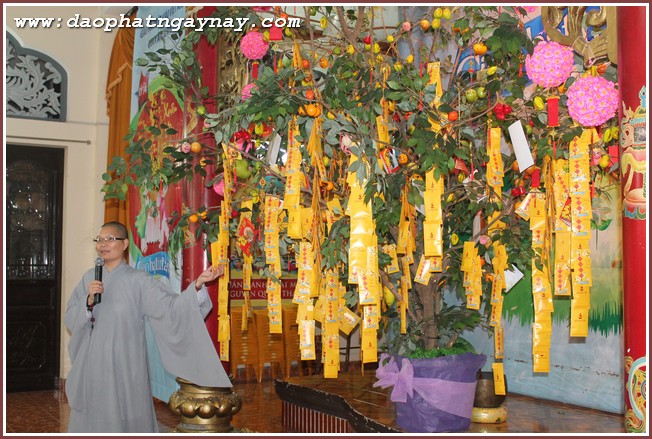 Khóa tu Gieo Hạt Từ Tâm 34: Xuân Yêu Thương (Phần I)