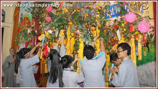 Khóa tu Gieo Hạt Từ Tâm 34: Xuân Yêu Thương (Phần I)