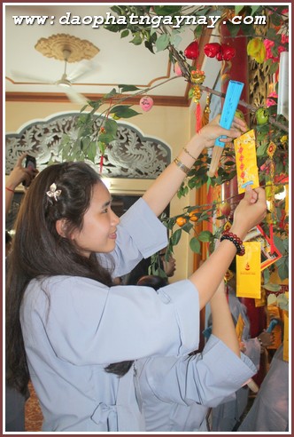 Khóa tu Gieo Hạt Từ Tâm 34: Xuân Yêu Thương (Phần I)