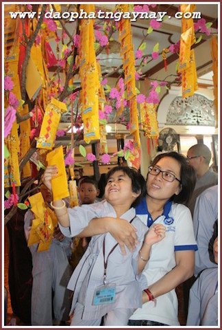 TP.HCM: Gieo Hạt Từ Tâm - Kì 35 Chủ Đề: Tết Yêu Thương