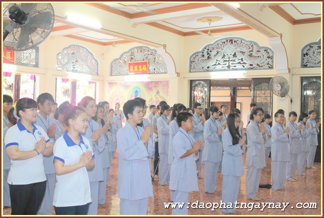 Gieo Hạt Từ Tâm 36: Bạo Lực Học Đường