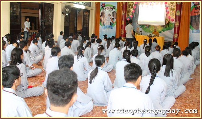 Gieo Hạt Từ Tâm 36: Bạo Lực Học Đường