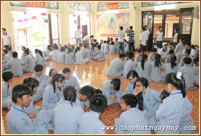 Gieo Hạt Từ Tâm 36: Bạo Lực Học Đường