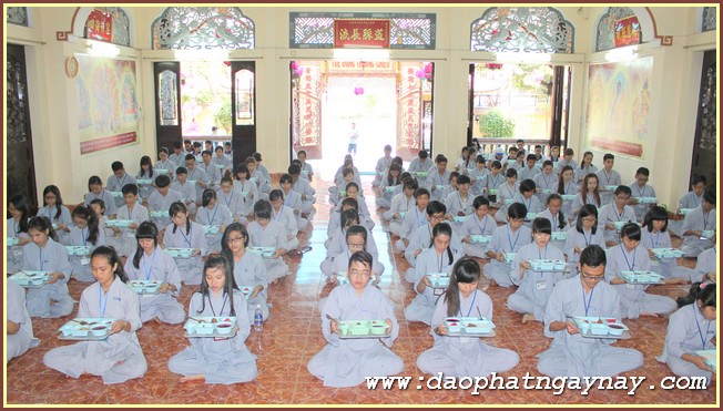 Gieo Hạt Từ Tâm 36: Bạo Lực Học Đường