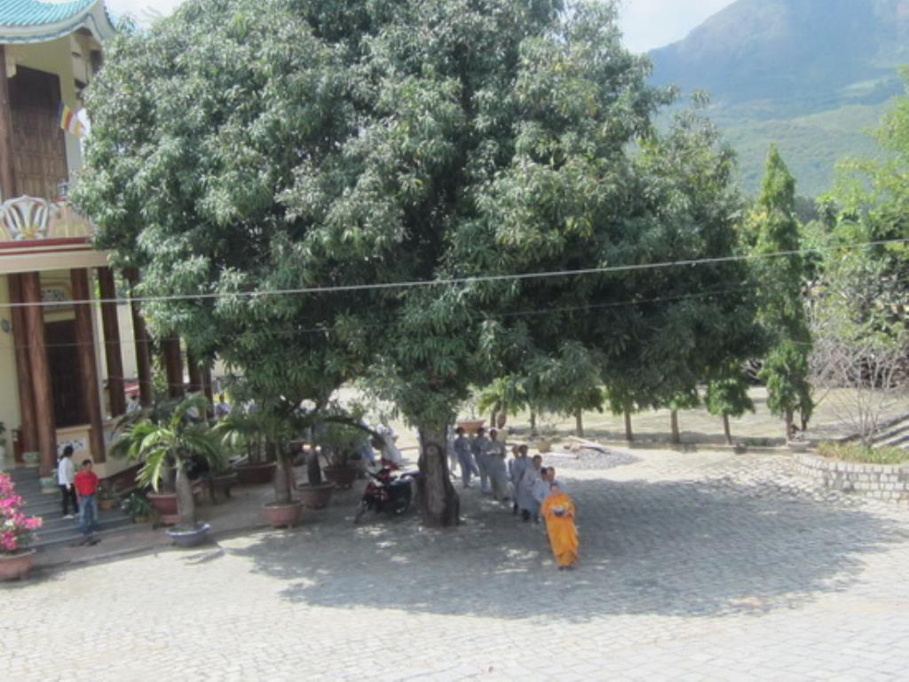 Tịnh xá Ngọc Sơn tổ chức khóa tu Bát quan trai lần 1 năm 2015